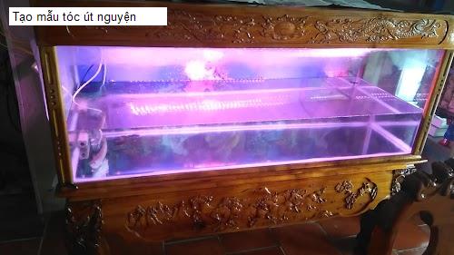 Hình ảnh Tạo mẫu tóc út nguyện